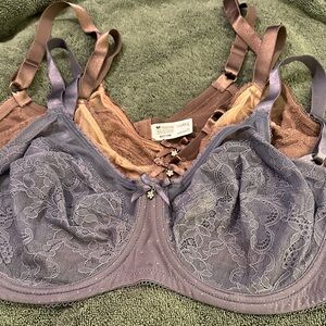 3 Elegant Lace Underwire Bra Set - 1 Blue and 2 Tan